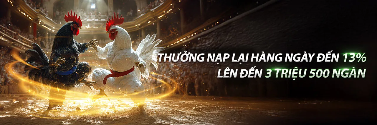 Các trận đá gà C2 ngày 9 tháng 5 sôi động